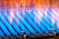 Alwinton gas fired boilers